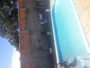 Tatame