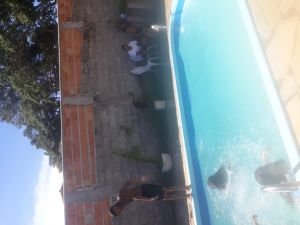 Tatame