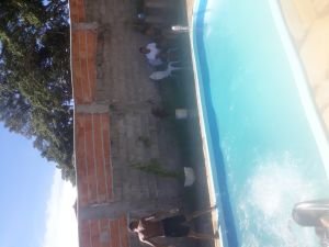 Tatame